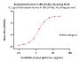 Biotinylated Human 4-1BB / TNFRSF9 (24-86) Protein, His,Avitag™