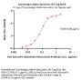 Cynomolgus Alpha-Synuclein Protein, His Tag (MALS verified)