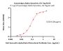 Cynomolgus Alpha-Synuclein Protein, His Tag (MALS verified)