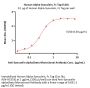 Human Alpha-Synuclein Protein, Fc Tag (MALS verified)