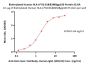 Biotinylated Human HLA-A*02:01&B2M&gp100 (YLEPGPVTA) Complex Protein (Monomer, MALS verified)