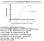 Biotinylated Human HLA-A*02:01&B2M&WT-1 (RMFPNAPYL) Complex Protein (Monomer, MALS verified)