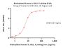 Biotinylated Human IL-1RL1 / ST2 Protein, Fc,Avitag™ (MALS verified)