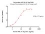 Cynomolgus HGF R / c-MET Protein, His Tag