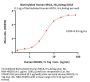 Biotinylated Human MICA Protein, His,Avitag™ (MALS verified)