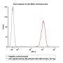 APC-Labeled Human Mesothelin / MSLN (296-580) Protein, His Tag (Site-specific conjugation)