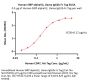 Human SIRP alphaV2 / CD172a Protein, Llama IgG2b Fc Tag, low endotoxin (MALS verified)