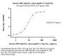 Human SIRP alphaV2 / CD172a Protein, Llama IgG2b Fc Tag, low endotoxin (MALS verified)