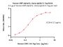 Human SIRP alphaV2 / CD172a Protein, Llama IgG2b Fc Tag, low endotoxin (MALS verified)