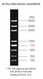 0.1-5 kbp DNA Marker