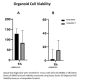 3D Organoid Cell Viability Assay (500 assays)