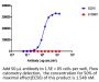 Anti-Human PD-L1 [Atezolizumab Biosimilar]