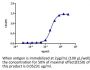 Anti-Human PD-1 [Toripalimab Biosimilar]