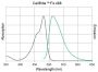 CellBrite™ Fix 555 Membrane Labeling Kit