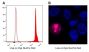 Live-or-Dye NucFix™ Red Staining Kit (200 assays)