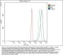 Anti-Thrombospondin 1/THBS1 Antibody Picoband™