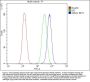 Anti-IKK gamma/IKBKG Antibody Picoband™