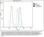 Anti-CACNA2D2 Antibody Picoband™