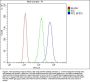 Anti-RP2 Antibody Picoband™