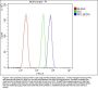 Anti-RP2 Antibody Picoband™