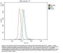 Anti-CD73/Nt5e Antibody Picoband™