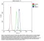 Anti-TREM1 Antibody Picoband™