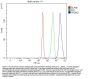 Anti-PRDM2 Antibody Picoband™