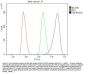 Anti-DR3/Tnfrsf25 Antibody Picoband™