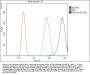 Anti-Sprouty 4/Spry-4/SPRY4 Antibody Picoband™