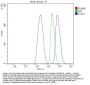 Anti-FOXJ1 Antibody Picoband™