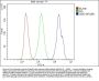 Anti-UBR2 Picoband™ Antibody