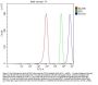 Anti-STON1 Antibody Picoband™