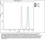 Anti-TTC39B Antibody Picoband™