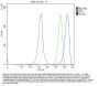 Anti-TCEB2/Elongin-B/ELOB Antibody Picoband™