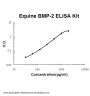 Horse equine BMP-2 ELISA Kit PicoKine®