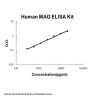 Human MAG ELISA Kit PicoKine®