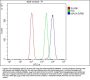 Anti-Monoamine Oxidase A/MAOA Antibody Picoband™