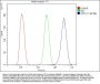 Anti-SPTLC1 Antibody Picoband™