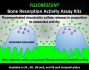 Bone Resorption Assay Kit