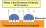 Bone Resorption Assay Plate