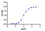 Adalimumab Biosimilar - Research Grade