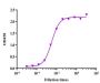 Cetuximab Biosimilar - Research Grade