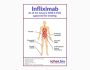 Infliximab Biosimilar - Research Grade