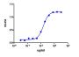 Nivolumab Biosimilar - Research Grade