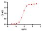 Trastuzumab Biosimilar - Research Grade