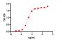 Ipilimumab Biosimilar - Research Grade