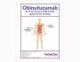 Obinutuzumab Biosimilar - Research Grade