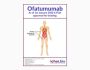 Ofatumumab Biosimilar - Research Grade