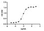 Pembrolizumab Biosimilar - Research Grade