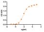 Pertuzumab Biosimilar - Research Grade